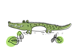 Lillizahn Praxis für Kinder- und Jugendzahnheilkunde